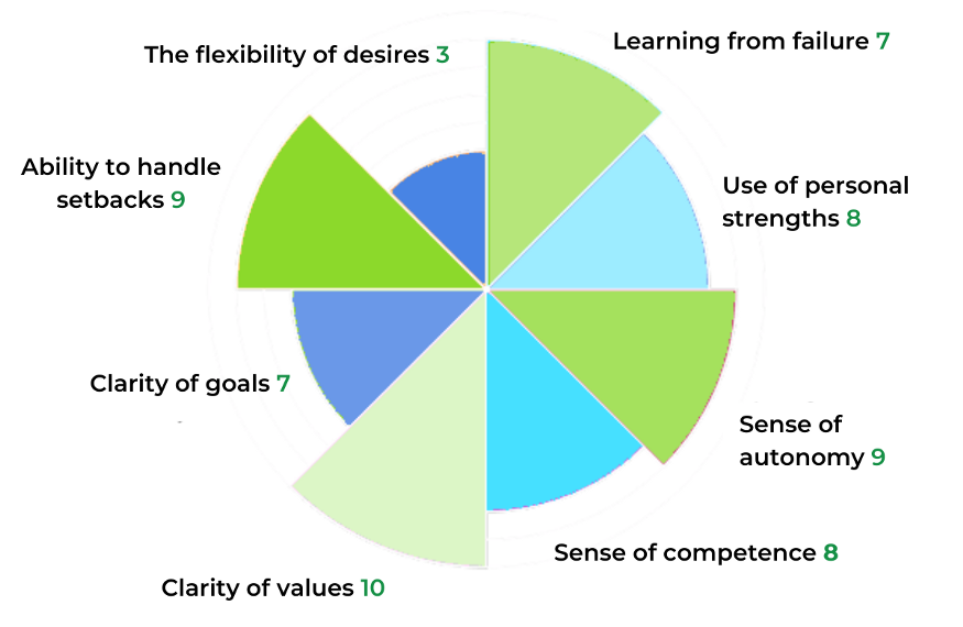 The 1st Mental Model: the Wheel of High Performance The 1st Mental Model: the Wheel of High Performance
